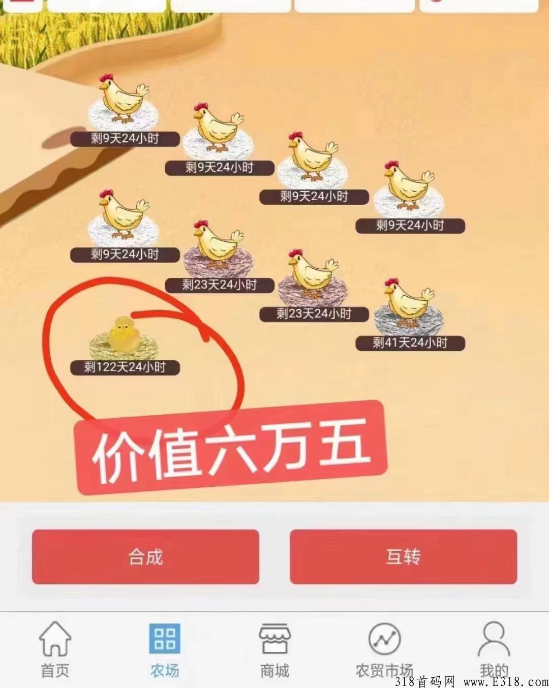 阿尼农场能赚钱吗?阿尼农场可以存活多久